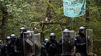 Polizei gegen Baumbesetzer