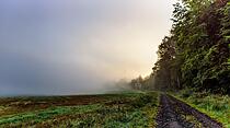 Leserfotos der Woche: Verklärter Herbst