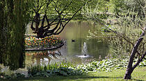 Frühjahrsimpressionen aus dem Bad Nauheim Kurpark und Südpark