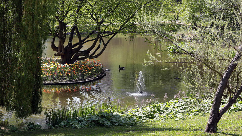 Frühjahrsimpressionen aus dem Bad Nauheim Kurpark und Südpark