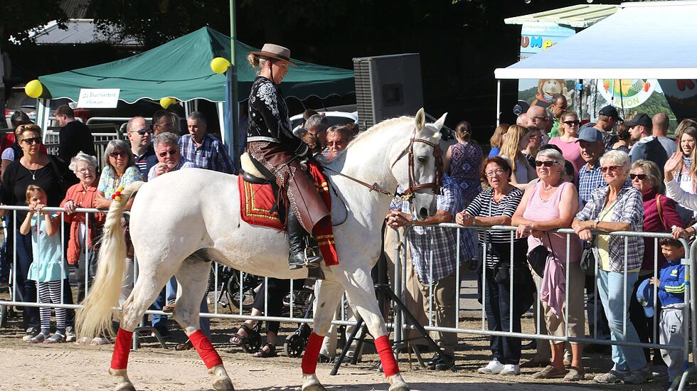 Tiershow auf der Seewiese