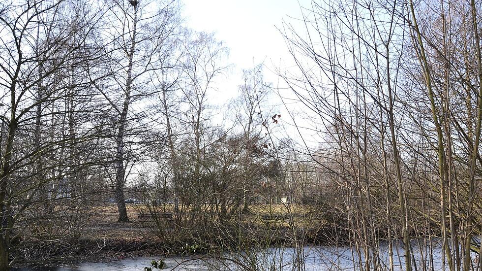 Freie Sicht am Neuen Teich