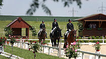 Dressur- und Springturnier auf der Reitsportanlage der Familie Loth in Friedberg – Fauerbach
