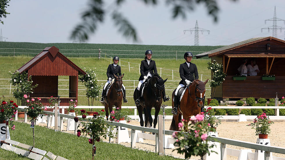 Dressur- und Springturnier auf der Reitsportanlage der Familie Loth in Friedberg – Fauerbach