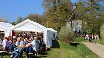 Kirschblütenwanderung in Ockstadt