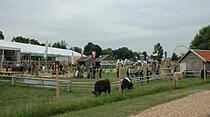 Hessentag in Rüsselsheim