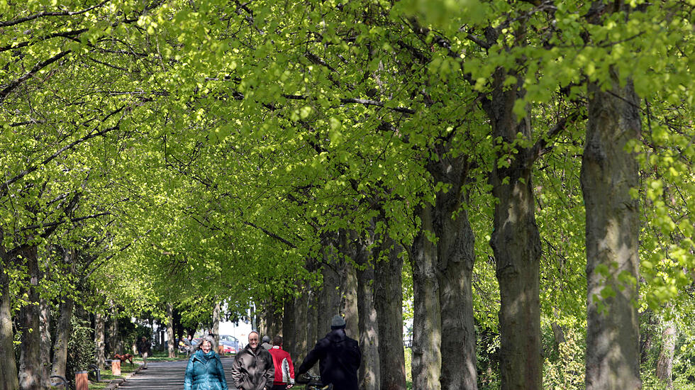 Frühjahrsimpressionen aus dem Bad Nauheim Kurpark und Südpark