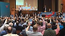 AfD-Landesparteitag in Gießen