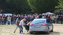 Tiershow auf der Seewiese Friedberg