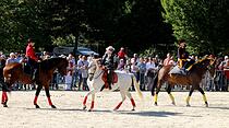 Tiershow auf der Seewiese