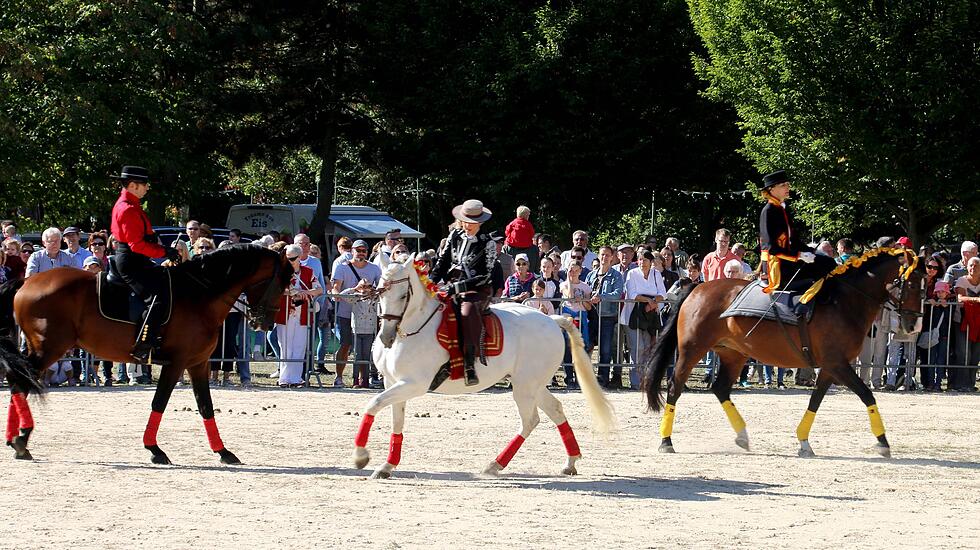 Tiershow auf der Seewiese