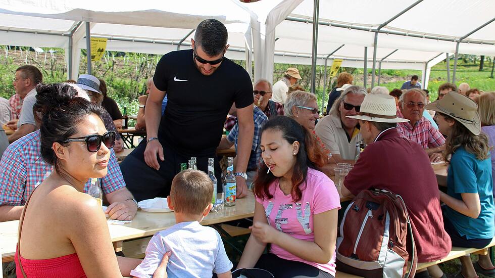 Kirschblütenwanderung des Obst- und Gartenbauvereins im Kirschenberg Ockstadt