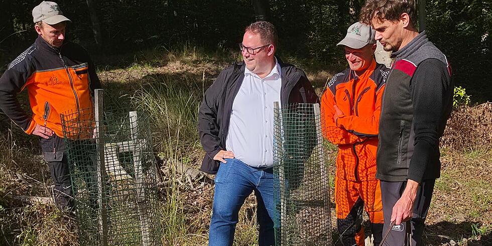 Aktuelle Lage im Stadtwald