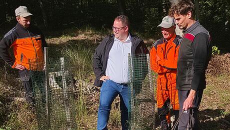 Aktuelle Lage im Stadtwald