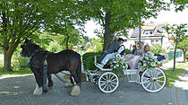 Blütenfest Rosbach