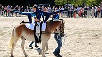 Tiershow auf der Seewiese