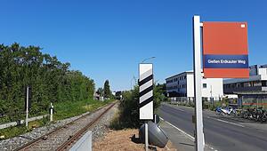 giloka_erdkauter_0805_olz_0