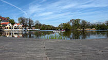Frühjahrsimpressionen aus dem Bad Nauheim Kurpark und Südpark