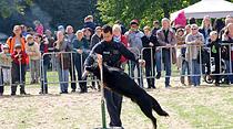Tiershow auf der Seewiese Friedberg