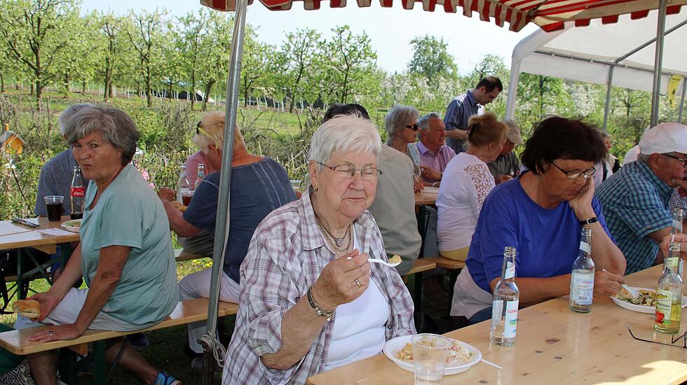 Kirschblütenwanderung des Obst- und Gartenbauvereins im Kirschenberg Ockstadt