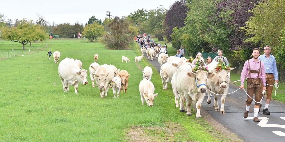 Almabtrieb in Nieder-Bessingen