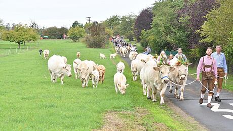 Almabtrieb in Nieder-Bessingen
