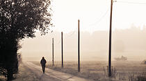 Oliver Schepps Foto der Woche