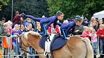Tiershow auf der Seewiese Friedberg