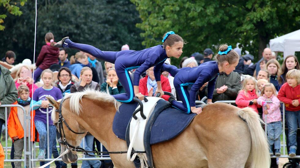 Tiershow auf der Seewiese Friedberg