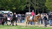 Tiershow auf der Seewiese Friedberg