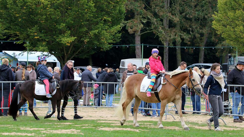 Tiershow auf der Seewiese Friedberg