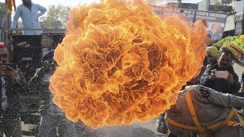 Feuerblume