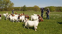 Dolles Dorf Ober-Bessingen