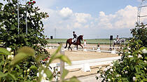 Dressur- und Springturnier auf der Reitsportanlage der Familie Loth in Friedberg – Fauerbach