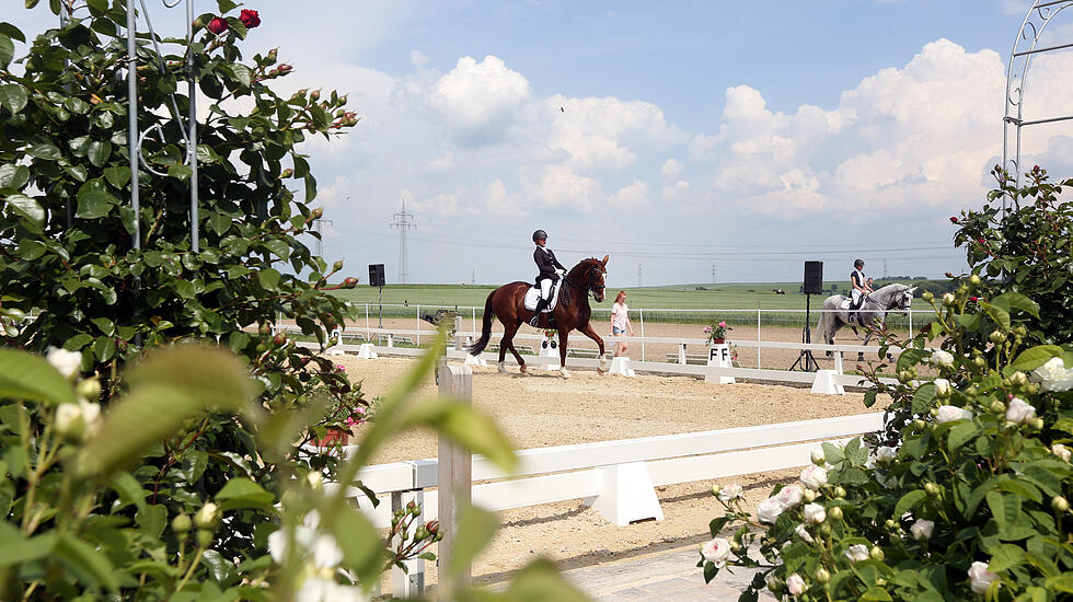 Dressur- und Springturnier auf der Reitsportanlage der Familie Loth in Friedberg – Fauerbach