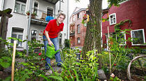 Oliver Schepps Foto der Woche