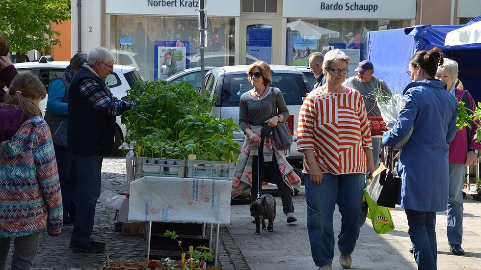 Pflanzenmarkt in Bad Nauheim