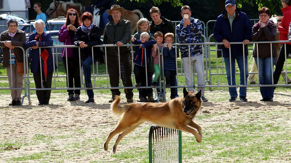 Tiershow auf der Seewiese Friedberg