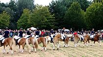 Tiershow auf der Seewiese Friedberg