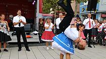 Elvisfest in Friedberg