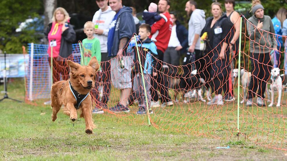 Hunderennen3_210922