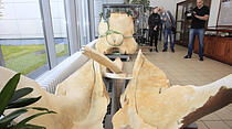 oli_wal14_230517