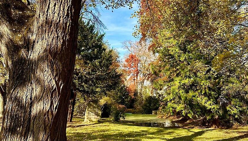 Energieverbrauch sinkt leicht