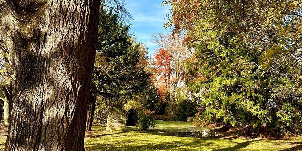 Energieverbrauch sinkt leicht