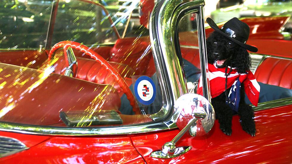 Elvisfest in Friedberg