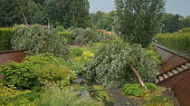 So sah es nach dem Unwetter in Gießen aus
