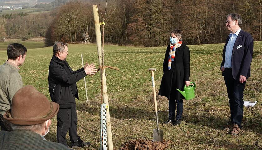 Kelterwiesen-Projektwächstu