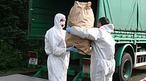Cannabis-Plantage in Bad Vilbel