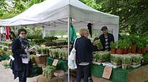 Kunst- und Gartenmarkt Bad Nauheim