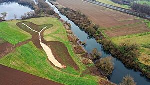 Paradies f&uuml;r Brut- und Zugv&ouml;gel